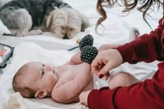 Husband Leaves Wife And 3-Month-Old Baby Due To Indicent With Dog