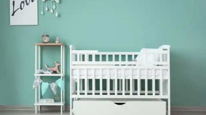 Husband Leaves Wife And 3-Month-Old Baby Due To Indicent With Dog