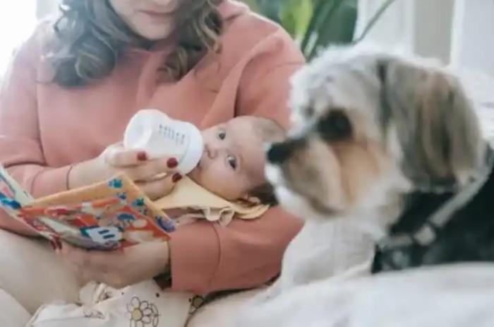 Husband Leaves Wife And 3-Month-Old Baby Due To Indicent With Dog