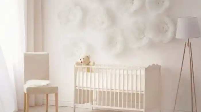 Husband Leaves Wife And 3-Month-Old Baby Due To Indicent With Dog