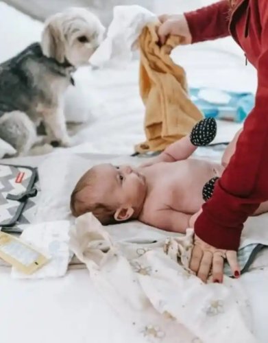 Husband Leaves Wife And 3-Month-Old Baby Due To Indicent With Dog