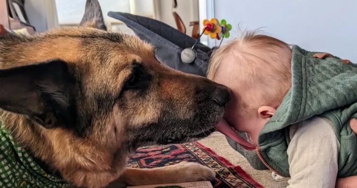 Husband Leaves Wife And 3-Month-Old Baby Due To Indicent With Dog Husband Leaves Wife And 3-Month-Old Baby Due To Indicent With Dog